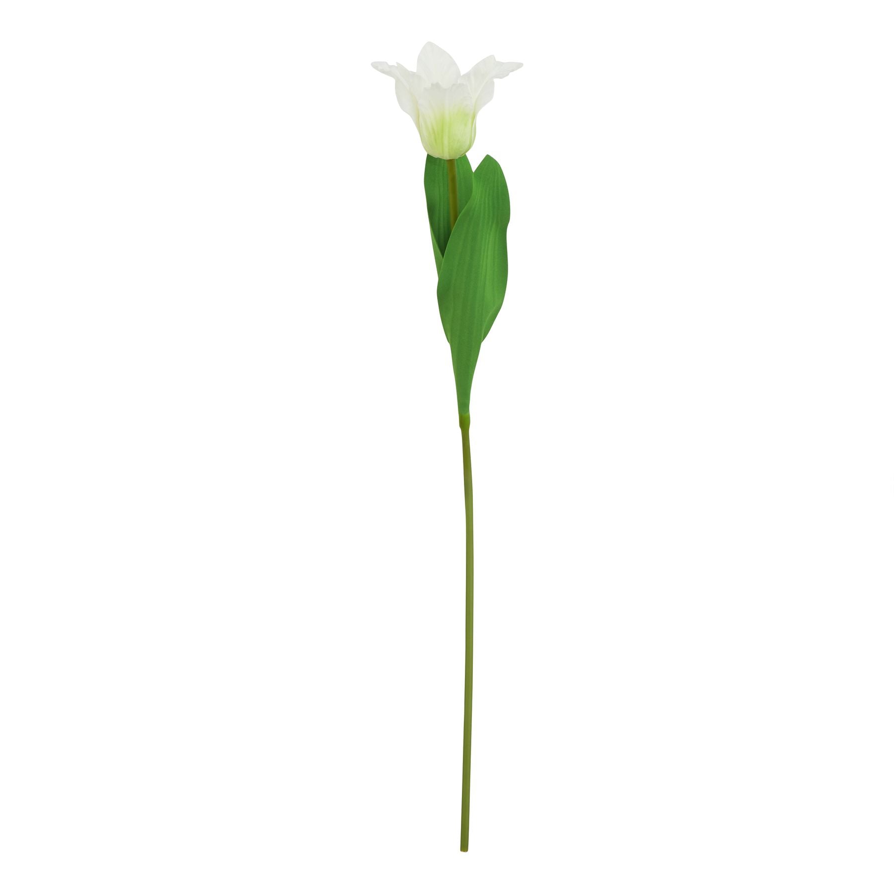 Lifelike white parrot tulip stem with intricate detailing and green leaves, perfect for elegant floral arrangements.