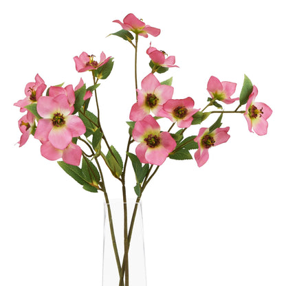 The Natural Garden Collection Pink Varigated Hellibore - Spring Stems from the Quanta Home collection.