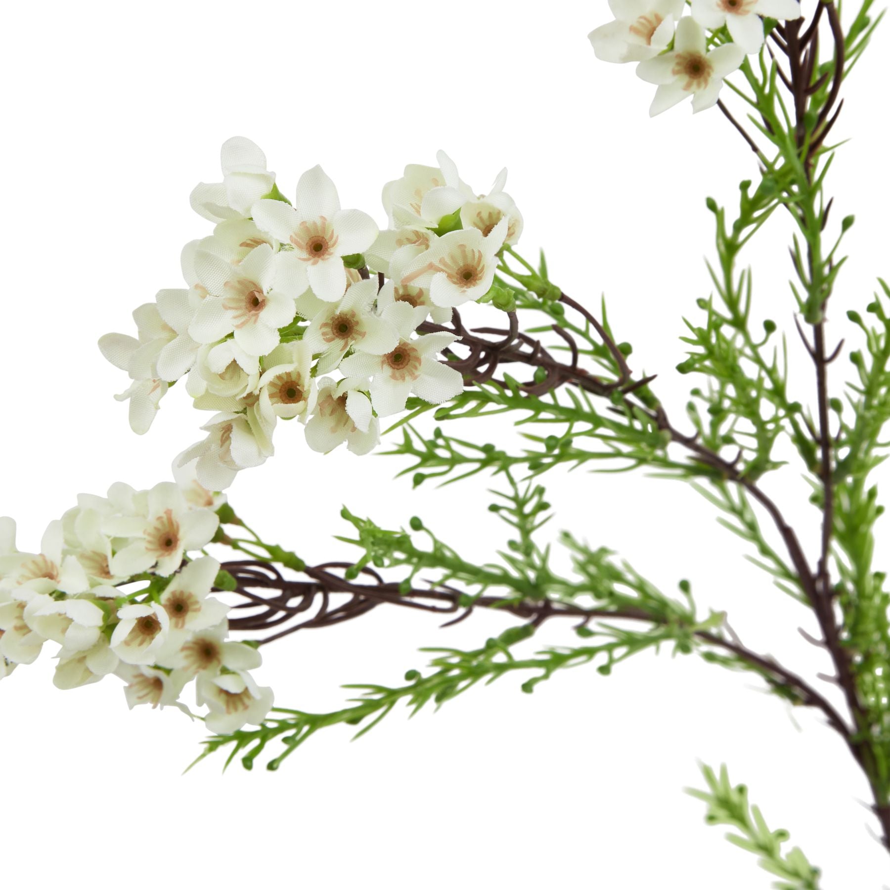 Lifelike white waxflower stem featuring delicate star-shaped blooms and greenery, perfect for elegant home decor.