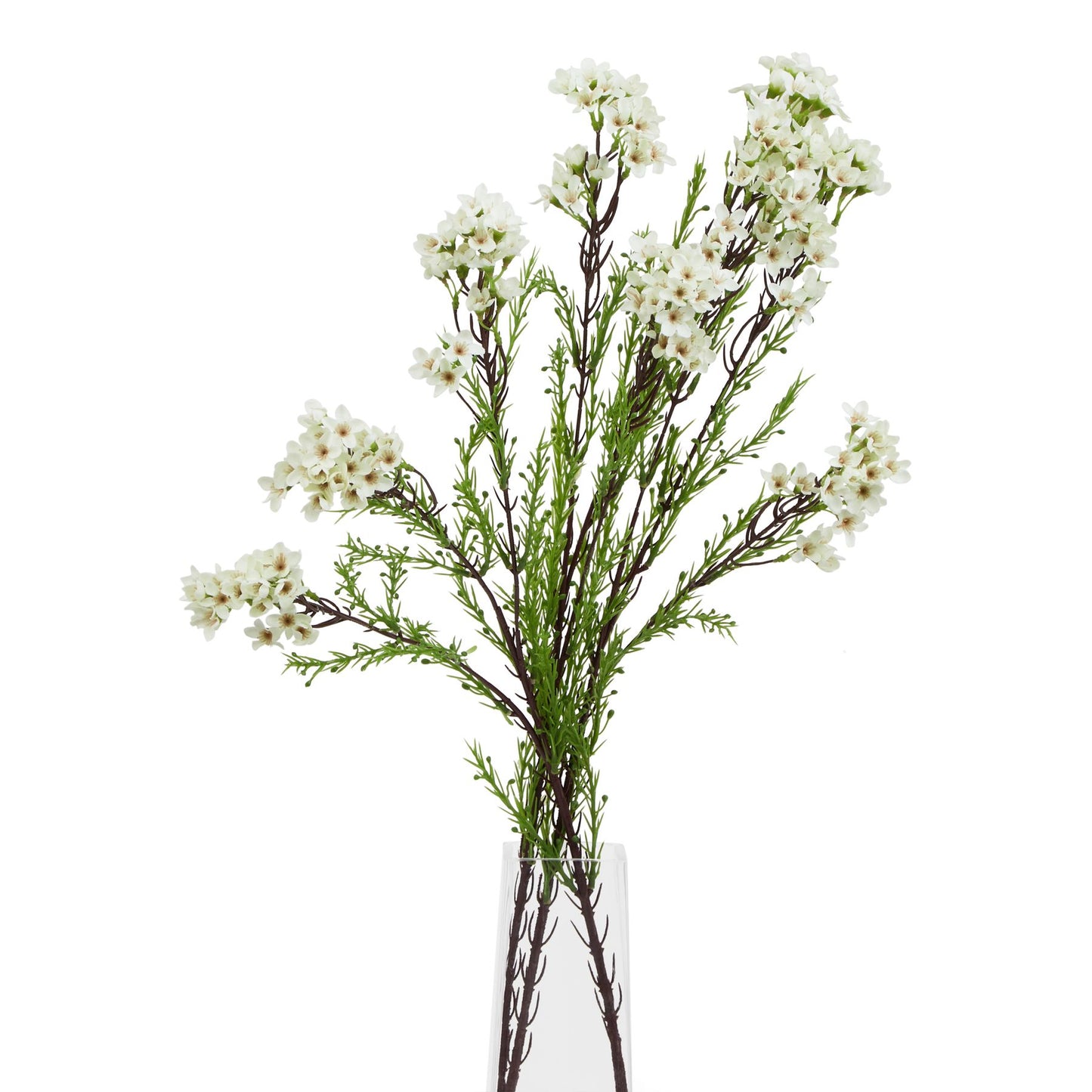 Lifelike white waxflower stems with delicate, star-shaped blooms and green foliage in a clear vase, adding elegance to any decor.