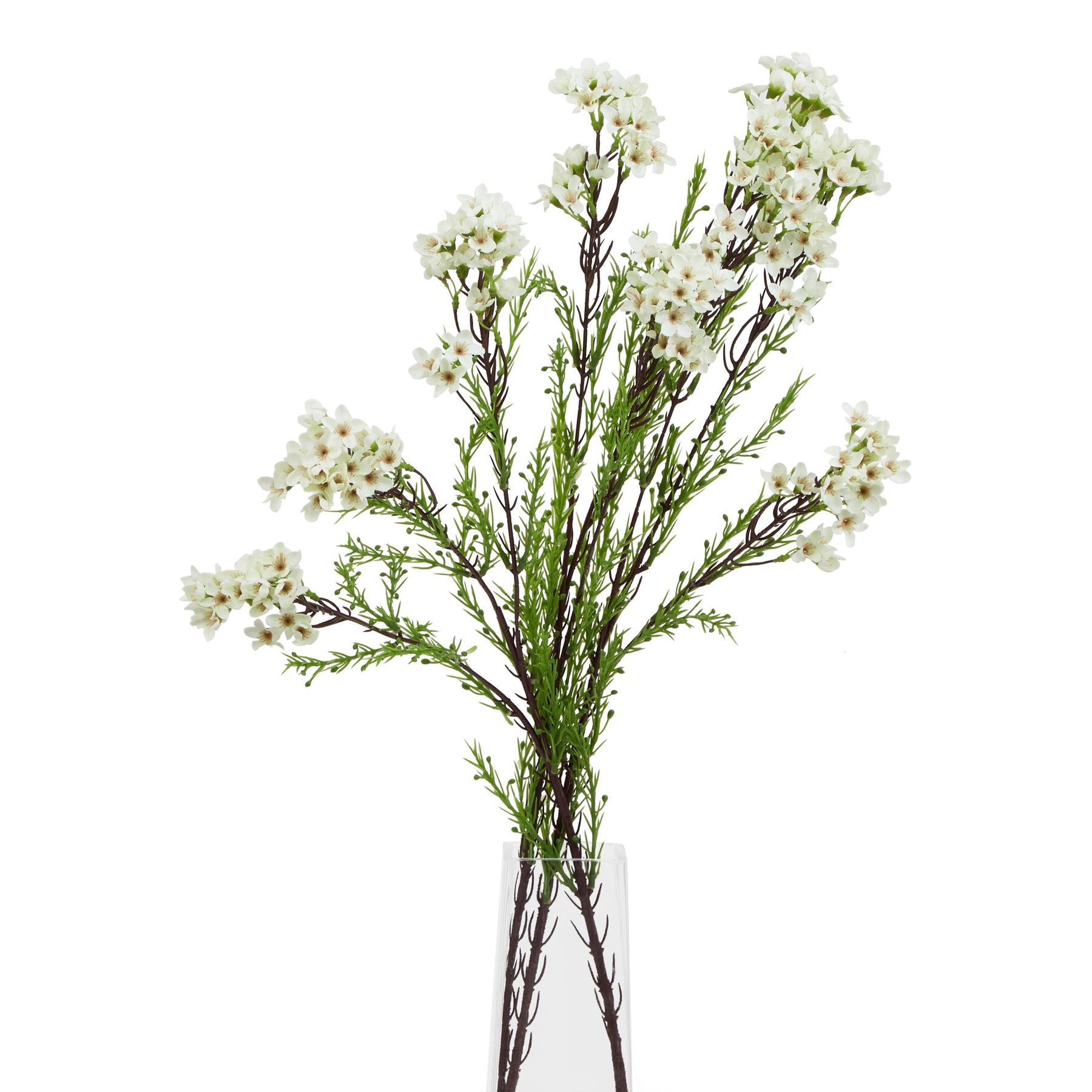 Lifelike white waxflower stems with delicate, star-shaped blooms and green foliage in a clear vase, adding elegance to any decor.