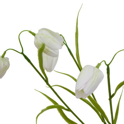 The Natural Garden Collection White Fritillaria Stem - Spring Stems from the Quanta Home collection.