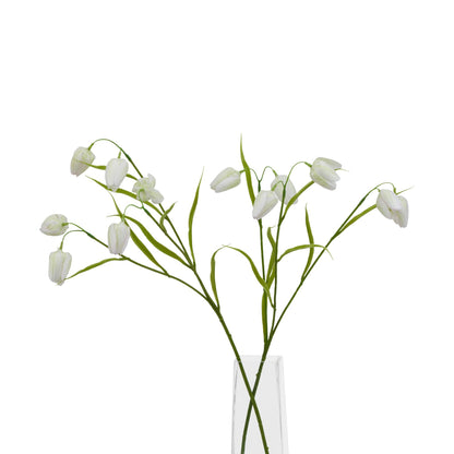 The Natural Garden Collection White Fritillaria Stem - Spring Stems from the Quanta Home collection.