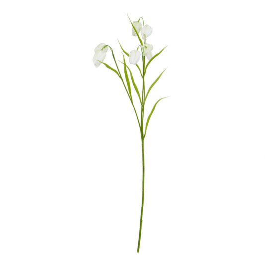 The Natural Garden Collection White Fritillaria Stem - Spring Stems from the Quanta Home collection.