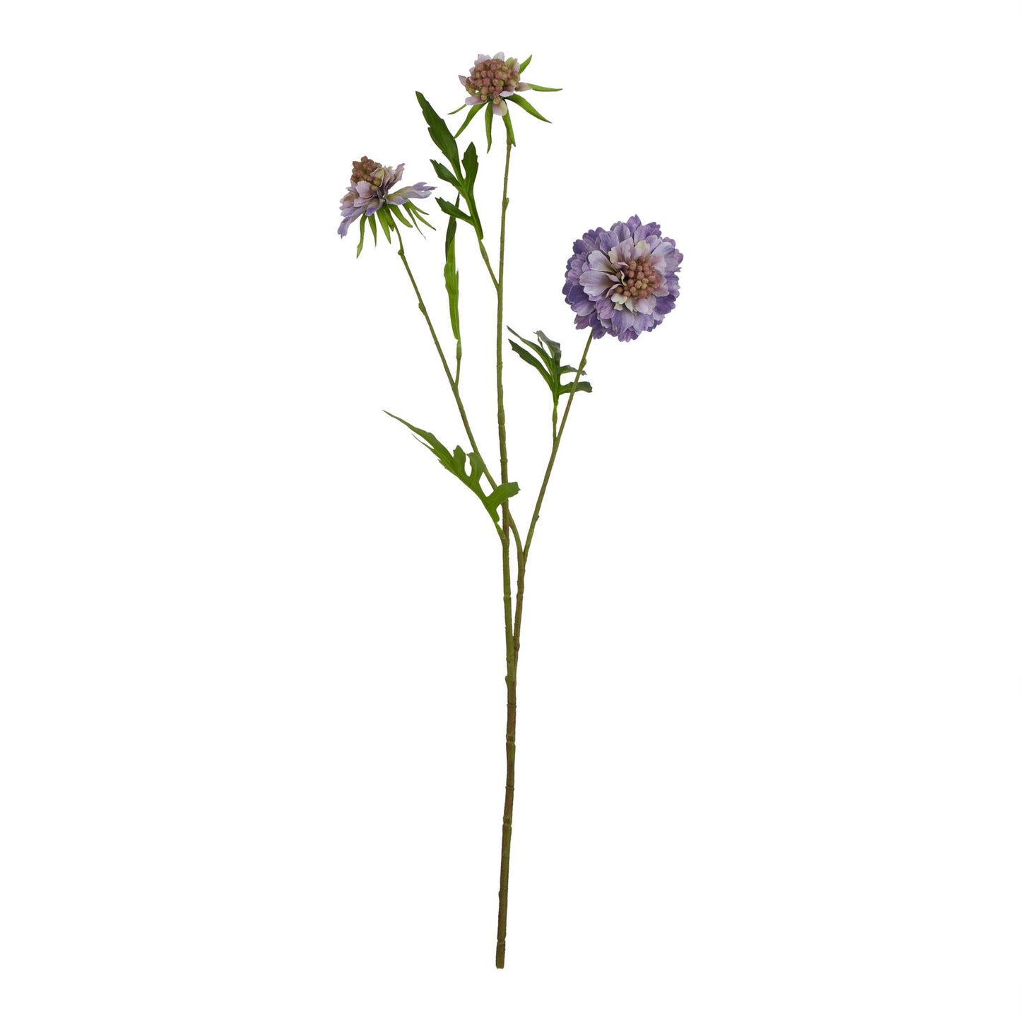 Lifelike purple scabious stem with delicate blooms and green foliage, perfect for elegant flower arrangements.