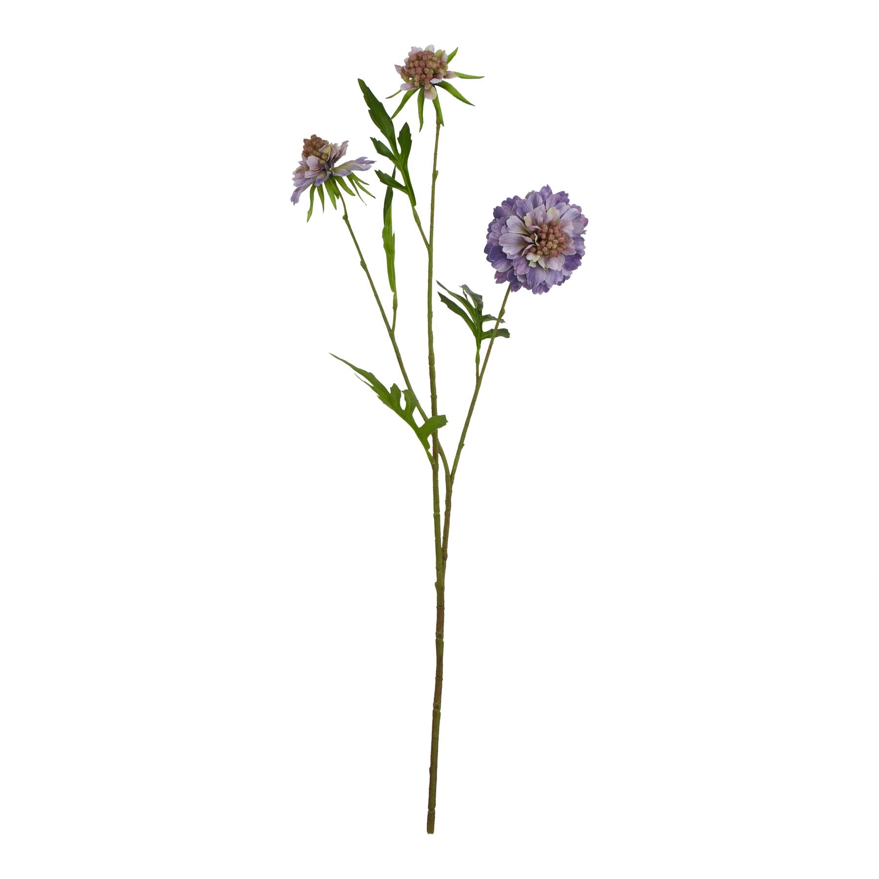 Lifelike purple scabious stem with delicate blooms and green foliage, perfect for elegant flower arrangements.