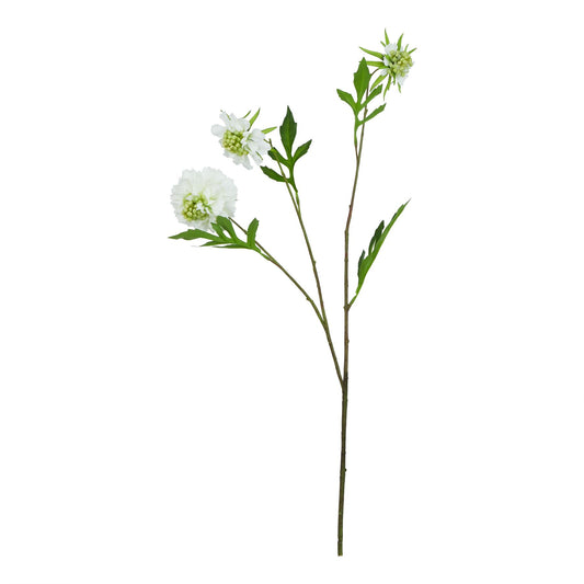 The Natural Garden Collection White Scabious Stem - Spring Stems from the Quanta Home collection.