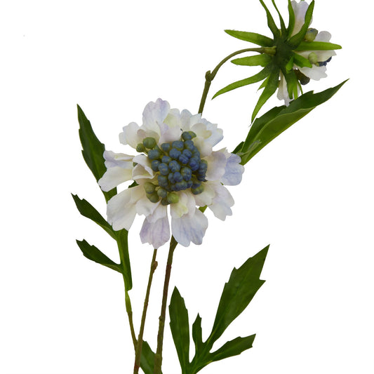 Lifelike pale blue scabious stem featuring intricate petals, green accents, and lush leaves for elegant decor.