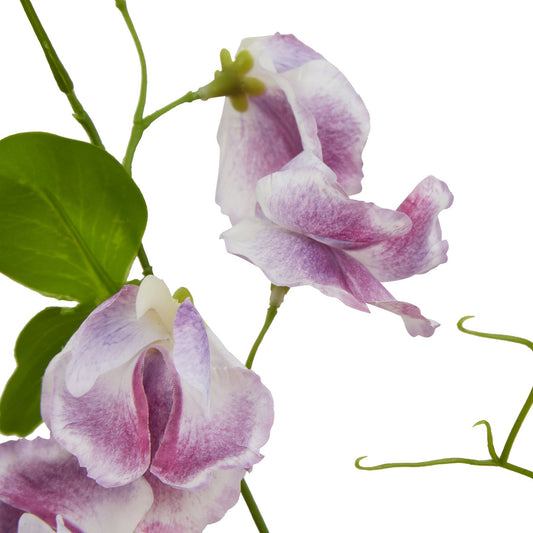 Realistic purple sweetpea stem with intricate petals and green leaves, perfect for elegant floral arrangements or displays.
