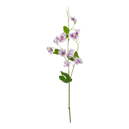 The Natural Garden Collection Purple Sweetpea Stem - Spring Stems from the Quanta Home collection.
