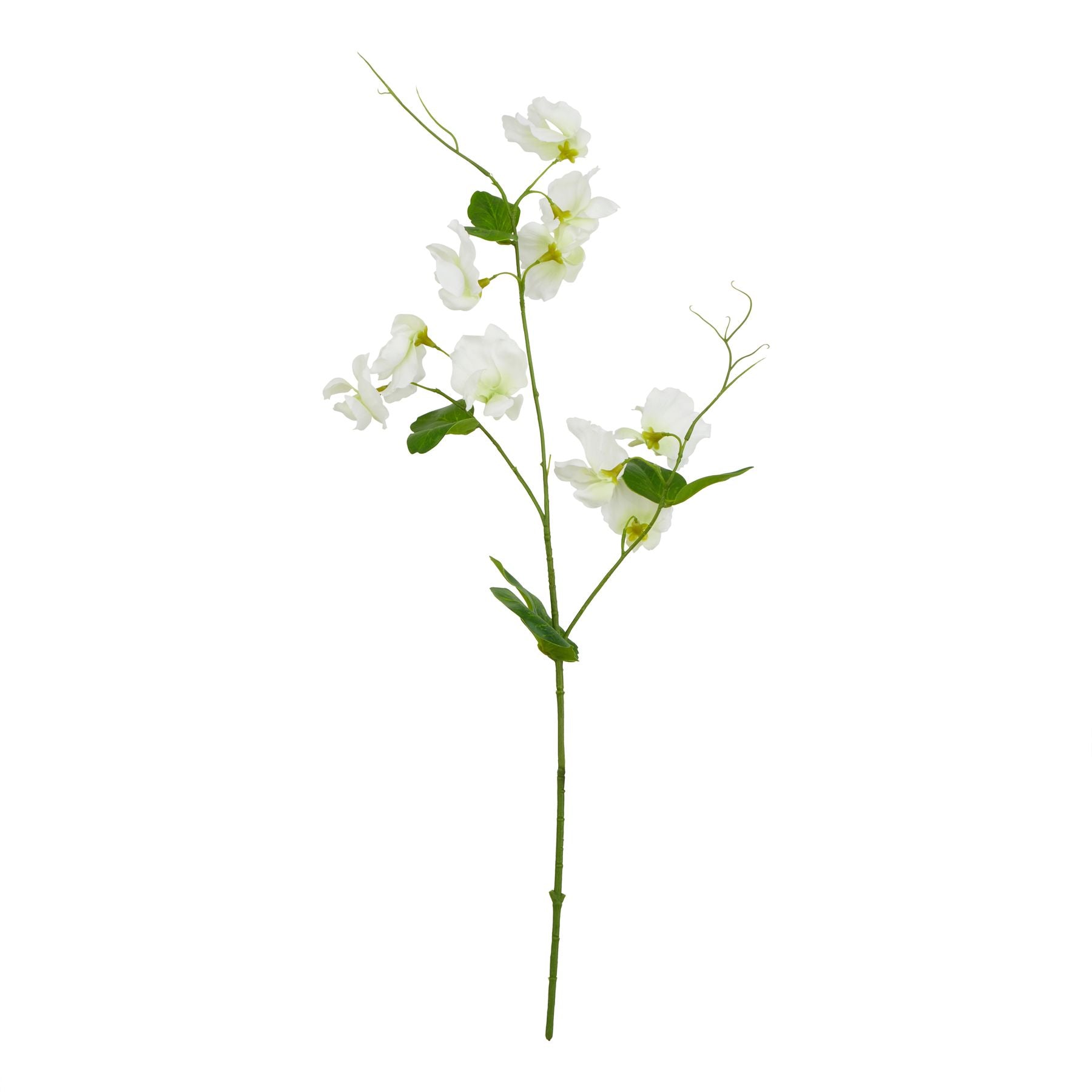Delicate white sweetpea stem with realistic blooms and flexible green stem; ideal for elegant floral arrangements.