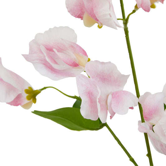 Pale pink sweetpea stem with lifelike petals showcasing subtle color variations and natural textures, complemented by green leaves.