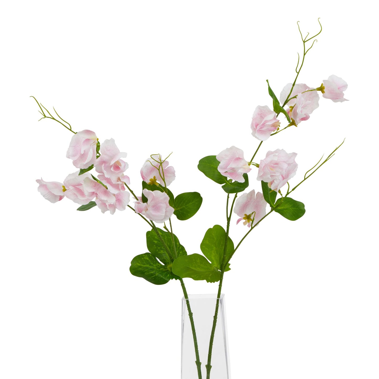 Pale pink sweetpea stem with realistic petals and green leaves, showcasing delicate elegance in a clear vase.