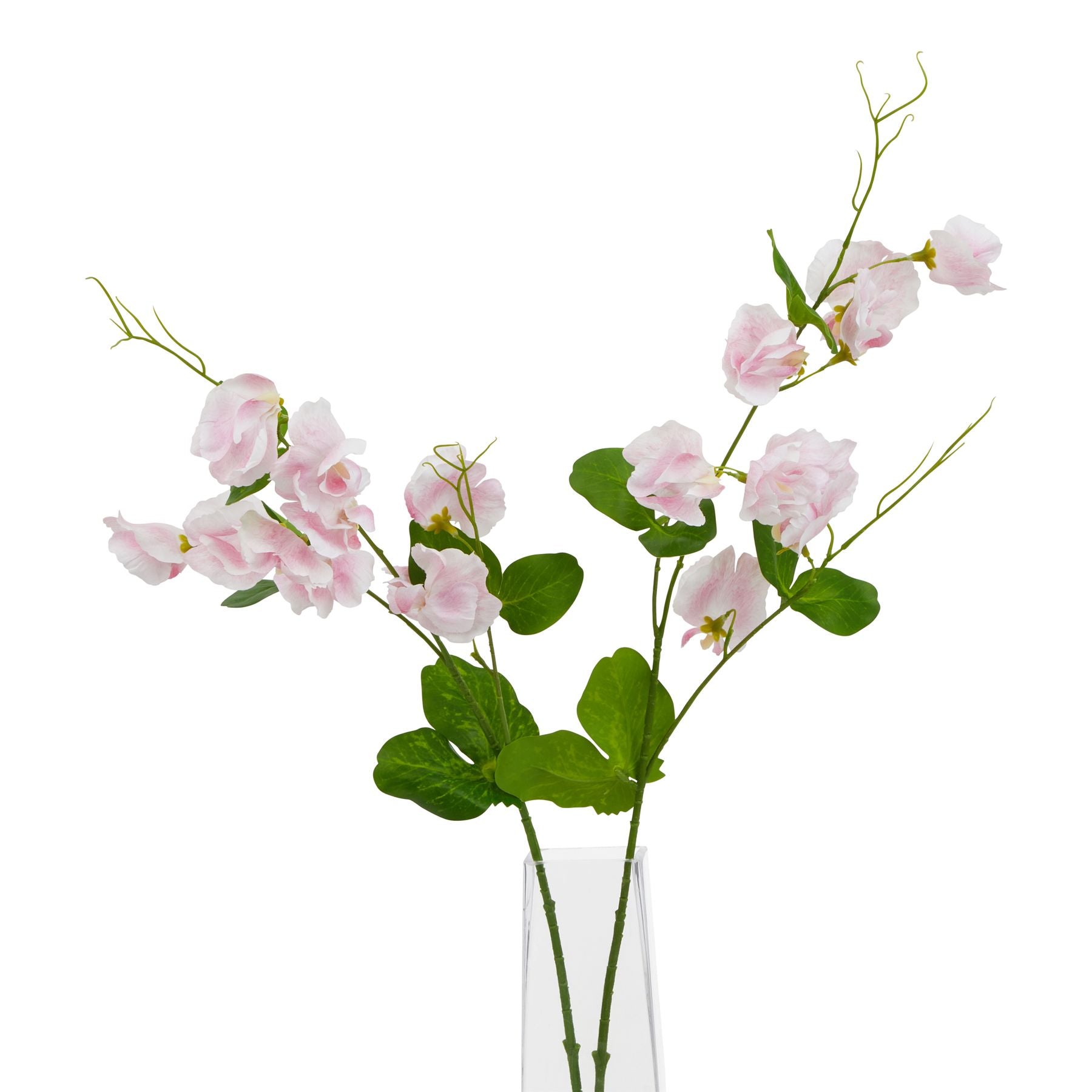 Pale pink sweetpea stem with realistic petals and green leaves, showcasing delicate elegance in a clear vase.