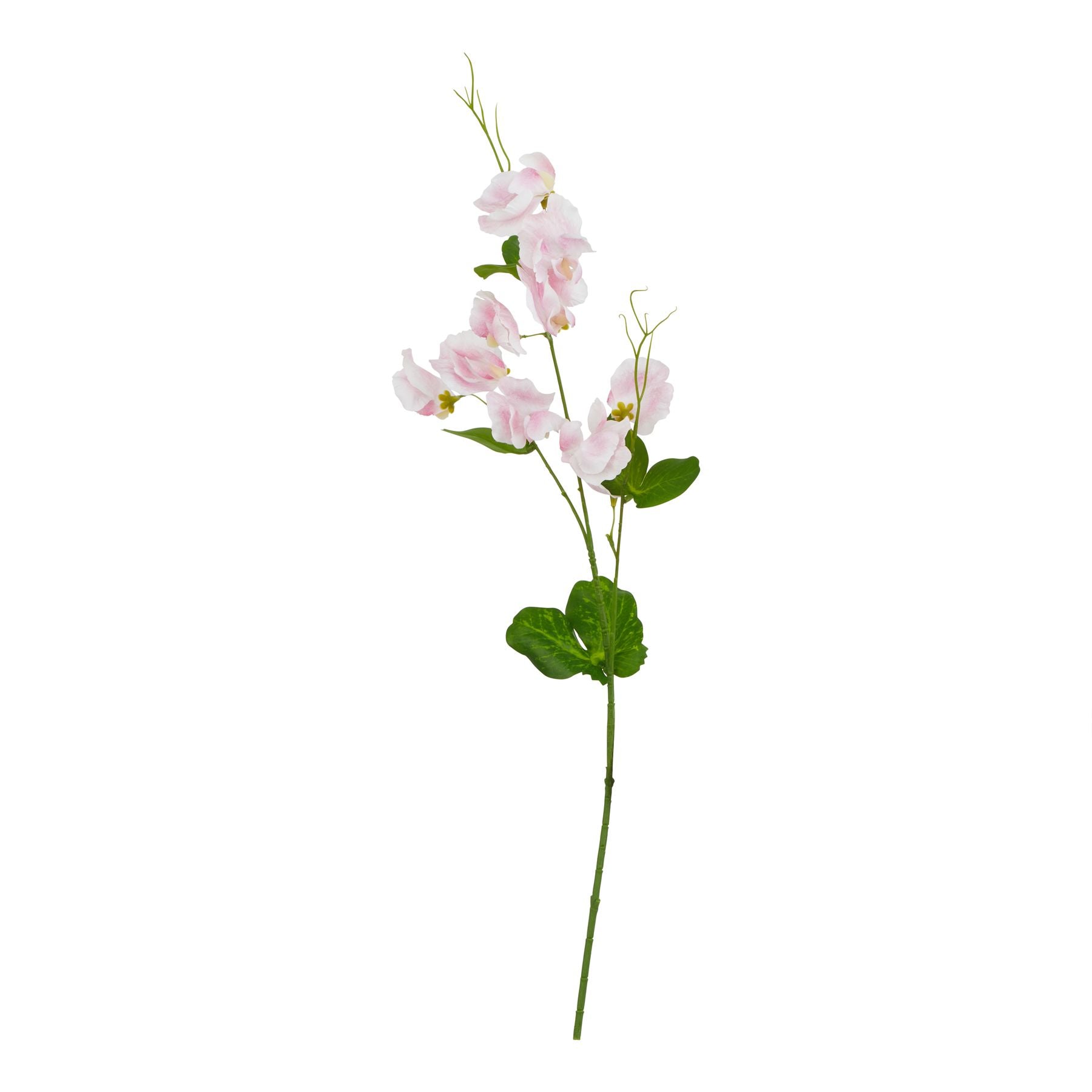 Delicate pale pink sweetpea stem with lifelike petals and green leaves, perfect for elegant floral arrangements.