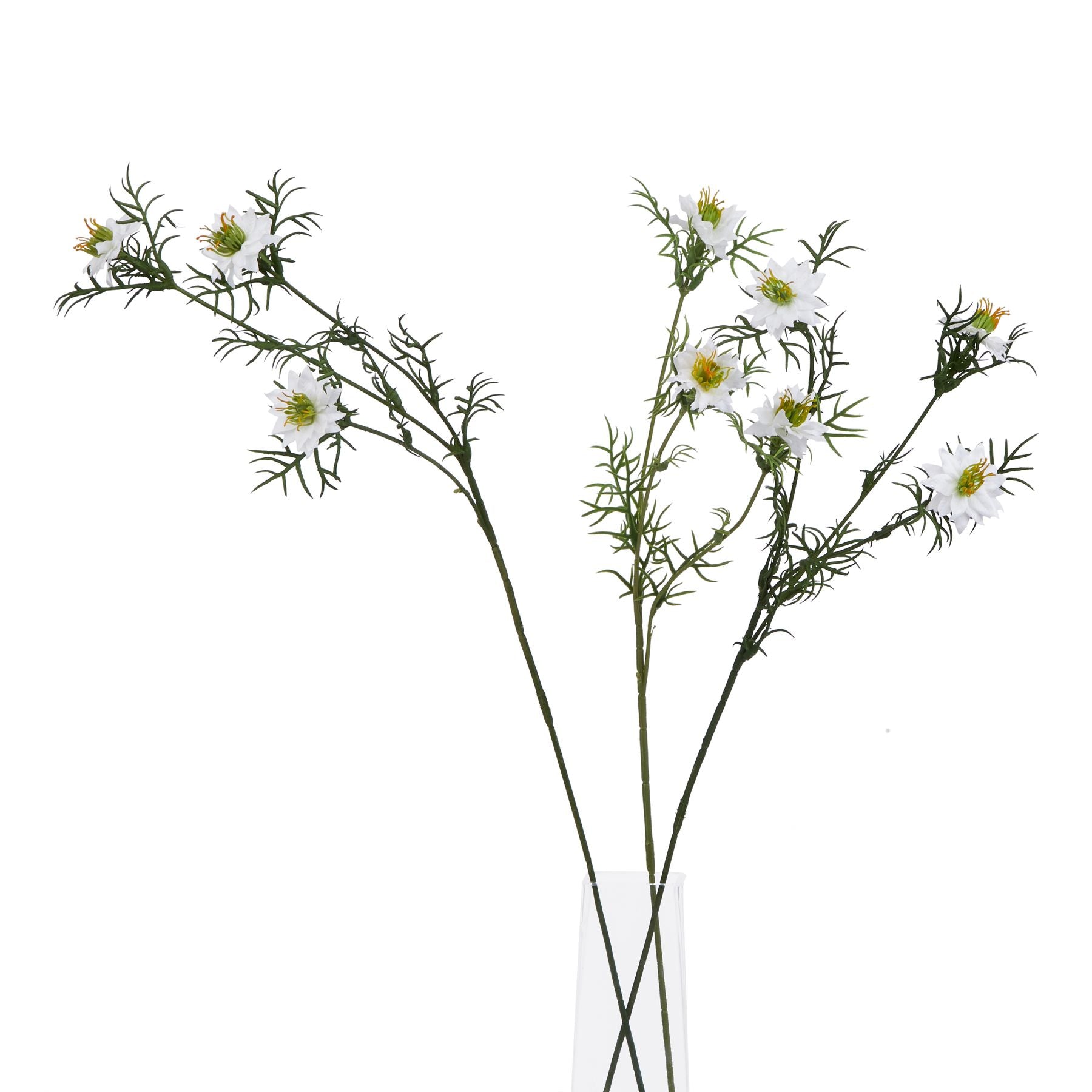 Elegant white Nigella Love In A Mist stems feature intricate seed pods and feathery foliage, perfect for sophisticated floral displays.