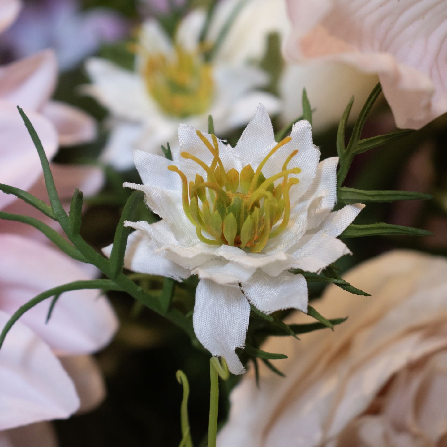 Delicate white Nigella Love In A Mist stem with intricate seed pods and feathery green foliage, perfect for elegant arrangements.