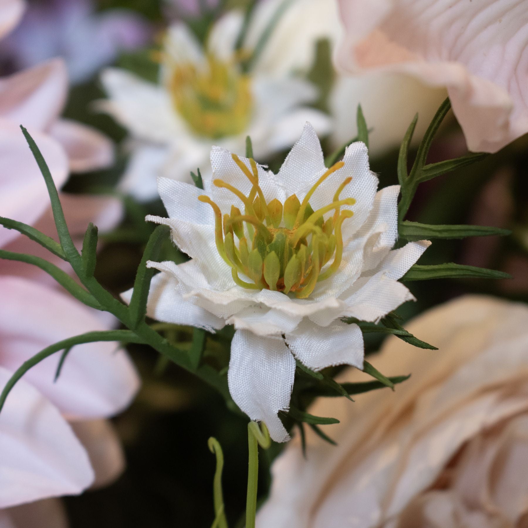 Delicate white Nigella Love In A Mist stem with intricate seed pods and feathery green foliage, perfect for elegant arrangements.