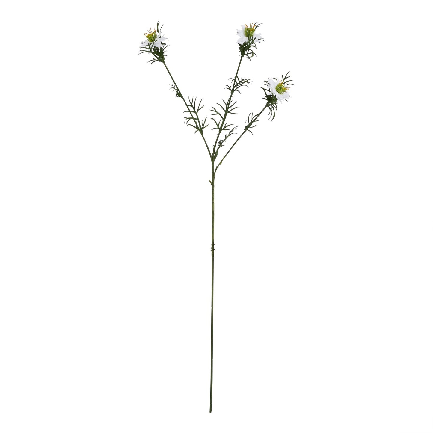Elegant white Nigella Love In A Mist stem featuring delicate seed pods and feathery foliage, perfect for sophisticated floral arrangements.
