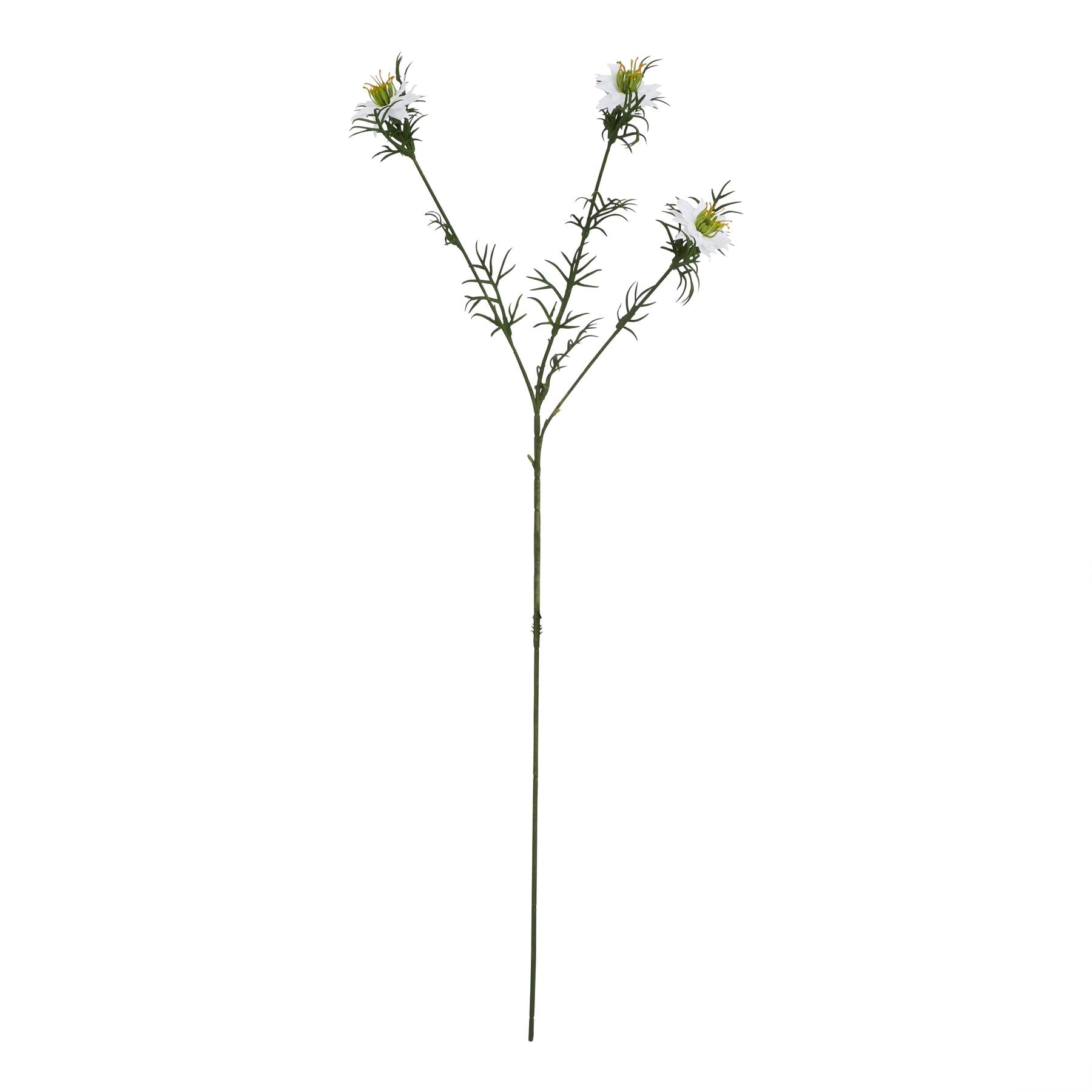 Elegant white Nigella Love In A Mist stem featuring delicate seed pods and feathery foliage, perfect for sophisticated floral arrangements.