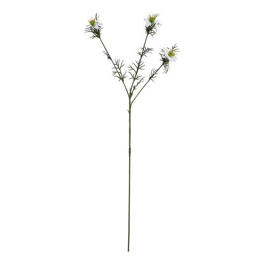 The Natural Garden Collection White Nigella Love In A Mist - Single Stem Flowers from the Quanta Home collection.