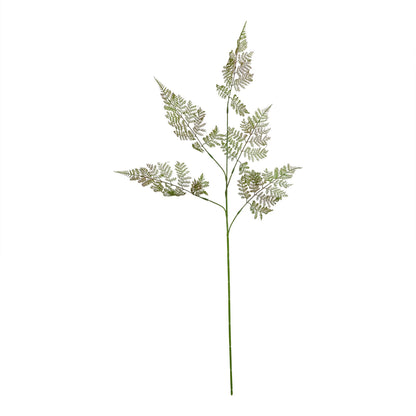 The Natural Garden Collection Large Bracken Fern Spray - Single Stem Flowers from the Quanta Home collection.