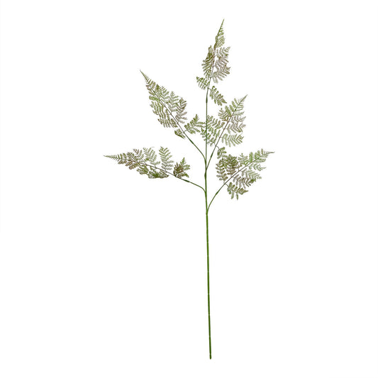 The Natural Garden Collection Large Bracken Fern Spray - Single Stem Flowers from the Quanta Home collection.