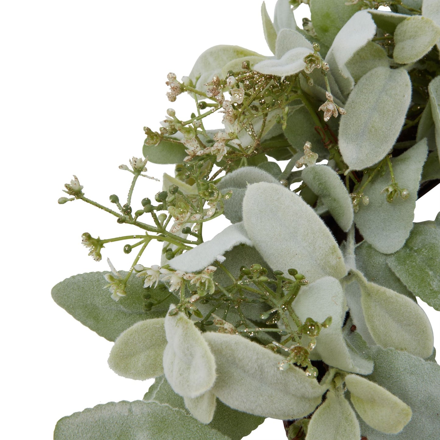 Winter Wreath With Lambs Ear And Wax Flower - Christmas Wreaths & Garlands from the Quanta Home collection.