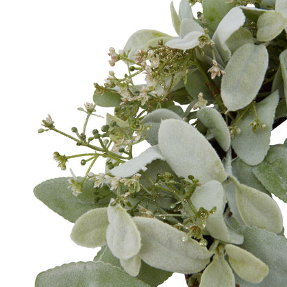Winter Wreath With Lambs Ear And Wax Flower - Christmas Wreaths & Garlands from the Quanta Home collection.