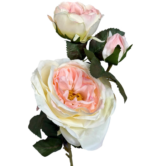 Soft pink charity rose with creamy white gradient, surrounded by buds and textured leaves, ideal for elegant decor.
