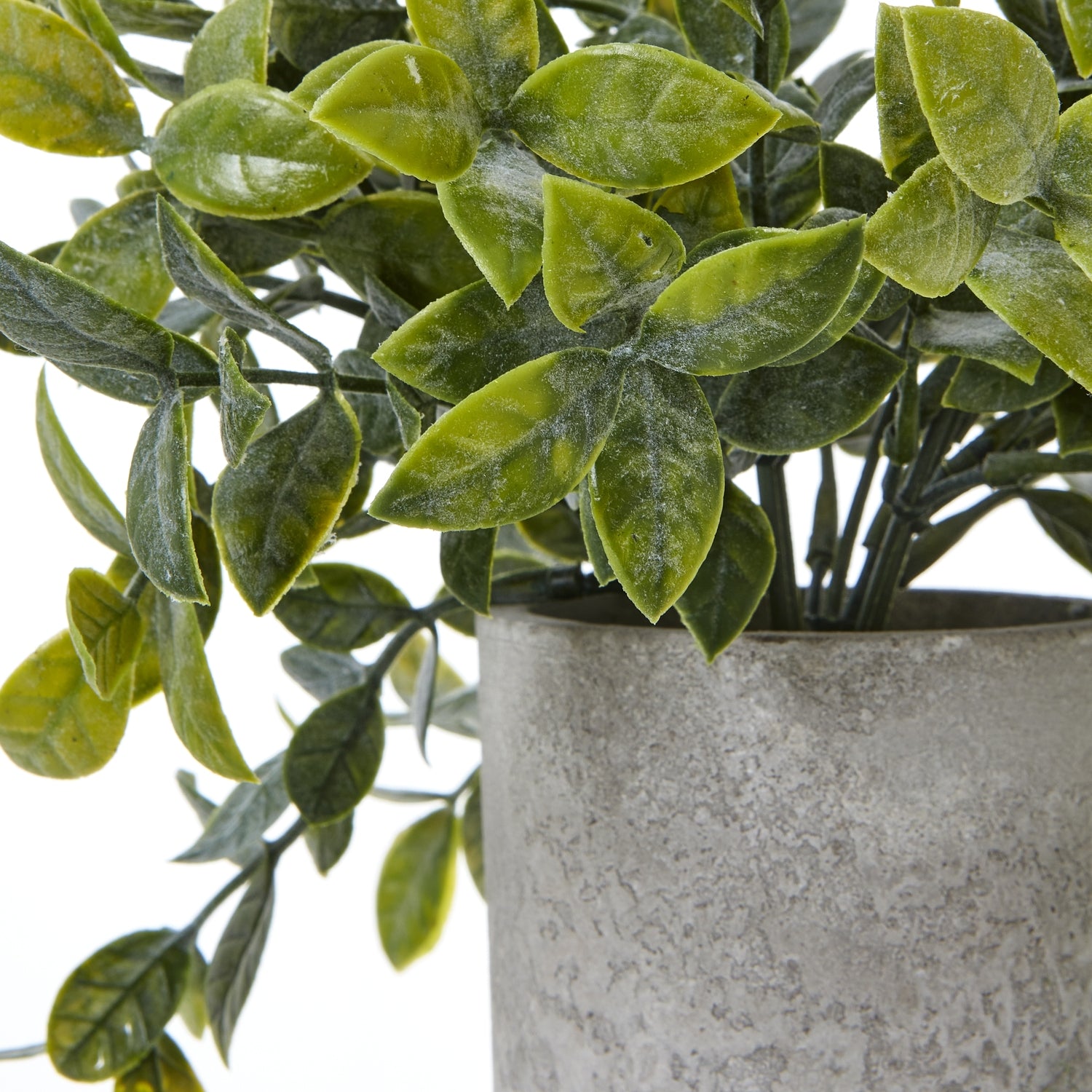 Small Box Plant In Grey Pot - All Artificial Potted Plants from the Quanta Home collection.