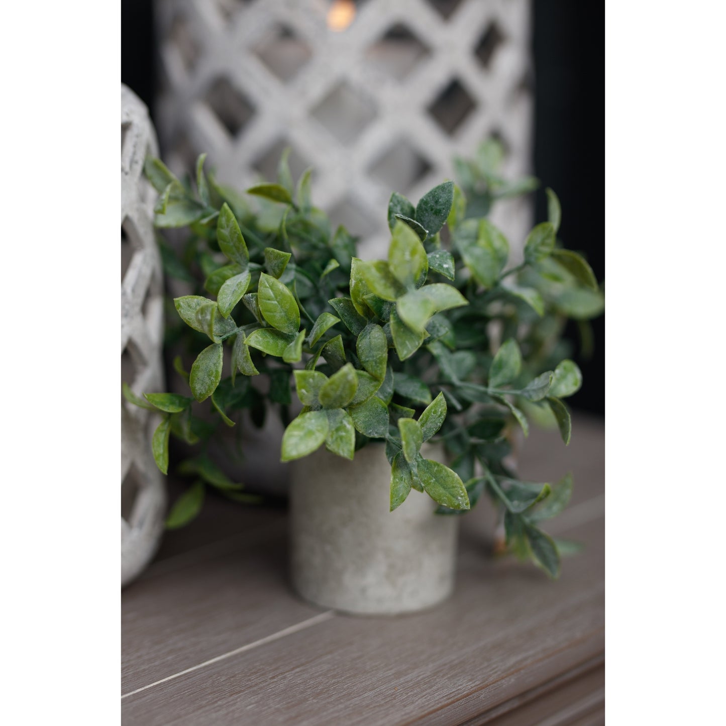 Small Box Plant In Grey Pot - All Artificial Potted Plants from the Quanta Home collection.