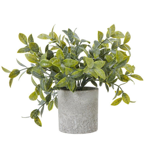 Small Box Plant In Grey Pot - All Artificial Potted Plants from the Quanta Home collection.
