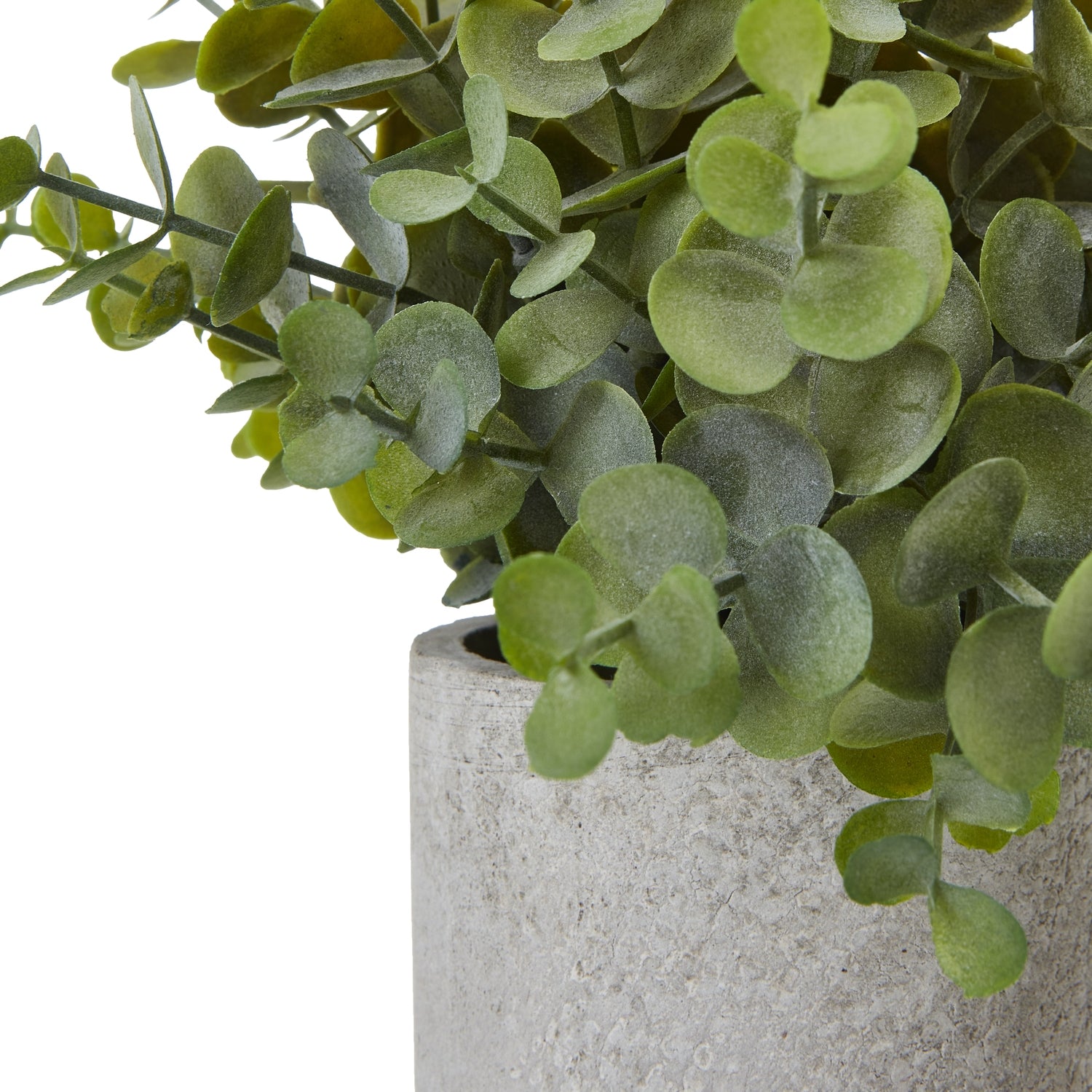 Small Button Eucalyptus Plant In Grey Pot - All Artificial Potted Plants from the Quanta Home collection.
