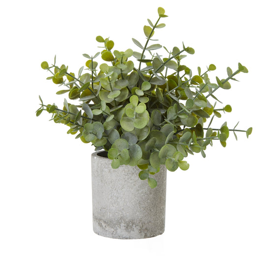 Small Button Eucalyptus Plant In Grey Pot - All Artificial Potted Plants from the Quanta Home collection.