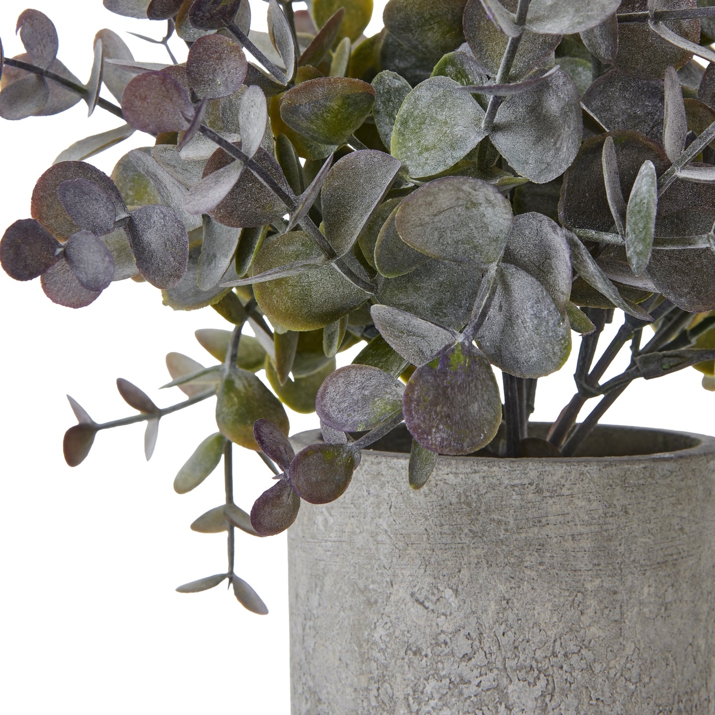 Small Eucalyptus Cinerea Plant In Grey Pot - All Artificial Potted Plants from the Quanta Home collection.