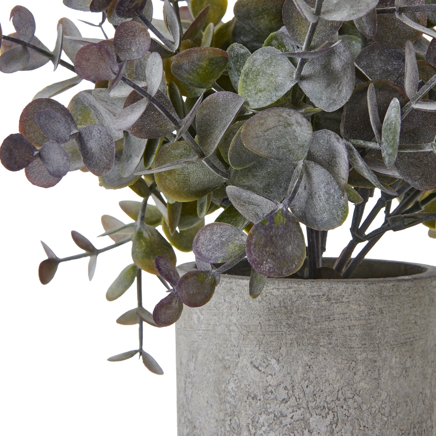 Small Eucalyptus Cinerea Plant In Grey Pot - All Artificial Potted Plants from the Quanta Home collection.