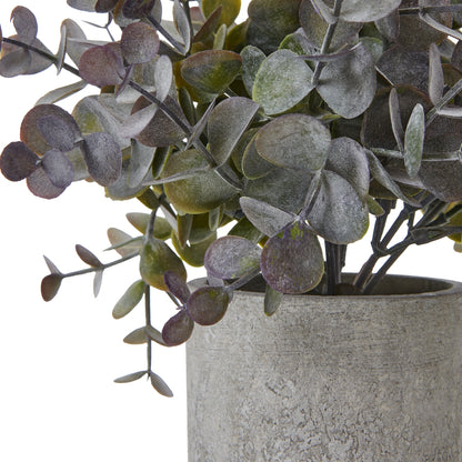 Small Eucalyptus Cinerea Plant In Grey Pot - All Artificial Potted Plants from the Quanta Home collection.