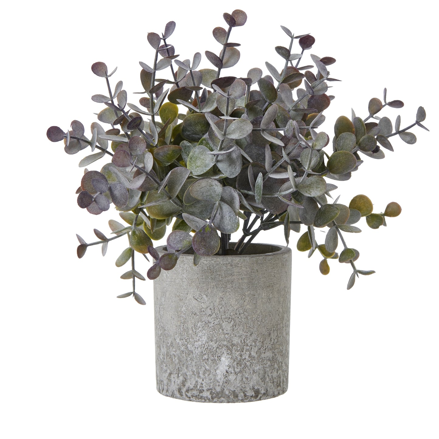 Small Eucalyptus Cinerea Plant In Grey Pot - All Artificial Potted Plants from the Quanta Home collection.