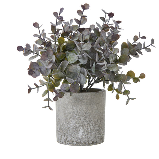 Small Eucalyptus Cinerea Plant In Grey Pot - All Artificial Potted Plants from the Quanta Home collection.