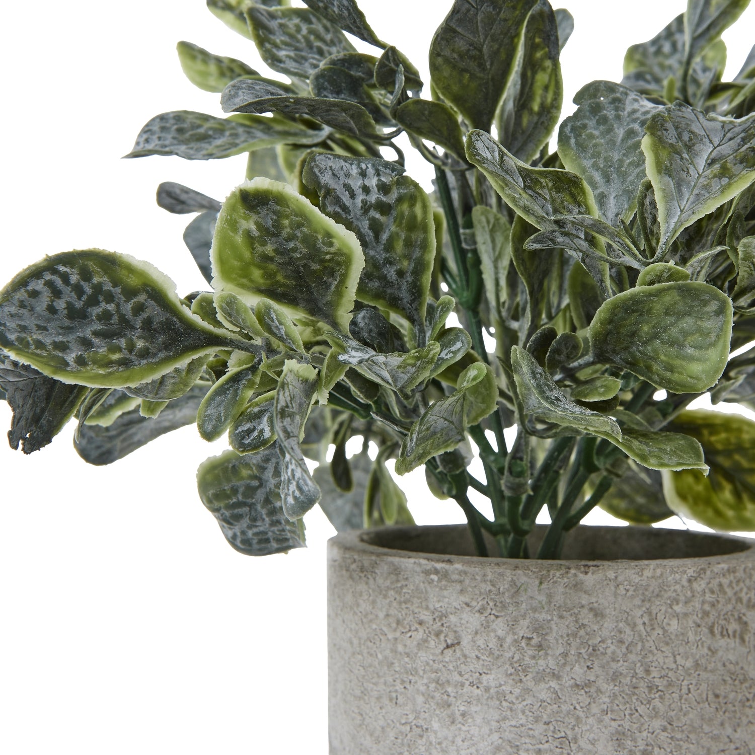 Small Giana Eucalyptus Plant In Grey Pot - All Artificial Potted Plants from the Quanta Home collection.