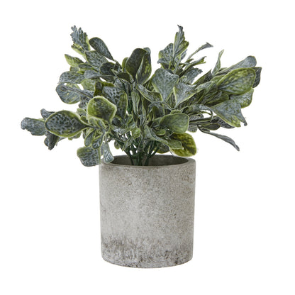 Small Giana Eucalyptus Plant In Grey Pot - All Artificial Potted Plants from the Quanta Home collection.
