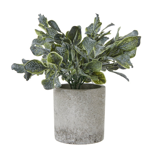 Small Giana Eucalyptus Plant In Grey Pot - All Artificial Potted Plants from the Quanta Home collection.
