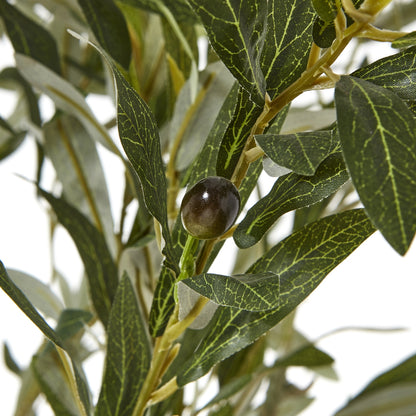 Apulia Olive Tree In White Pot 210Cm - Potted Plants from the Quanta Home collection.
