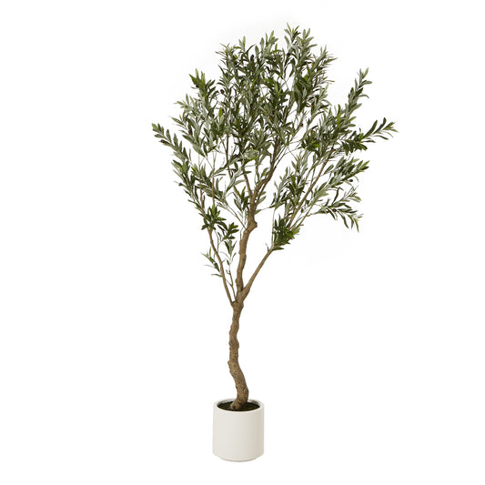 Apulia Olive Tree In White Pot 200Cm - Potted Plants from the Quanta Home collection.