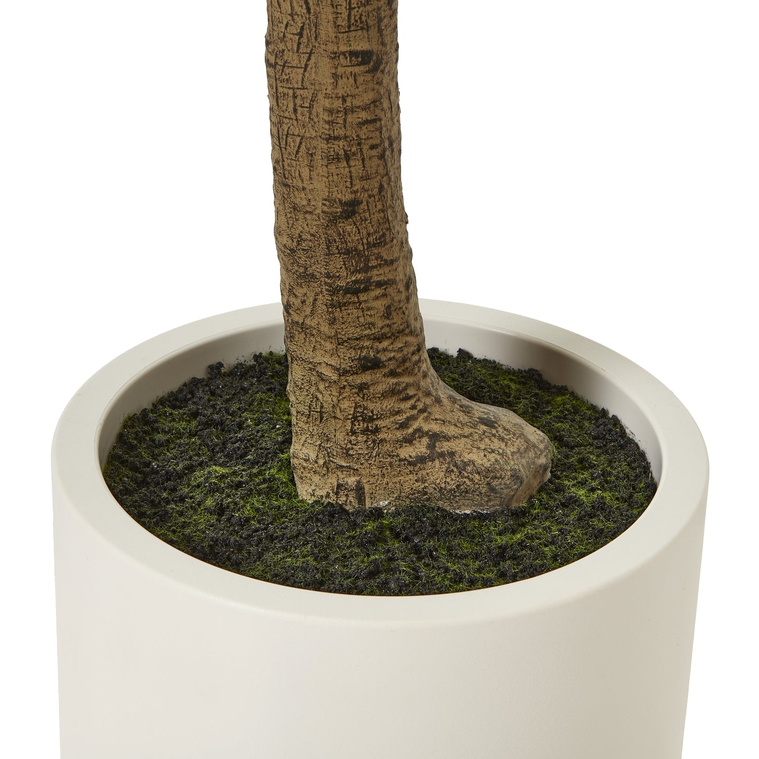Apulia Olive Tree In White Pot 240Cm - Potted Plants from the Quanta Home collection.
