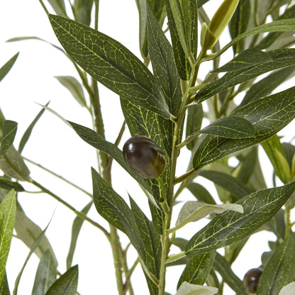 Apulia Olive Tree In White Pot 150Cm - Potted Plants from the Quanta Home collection.