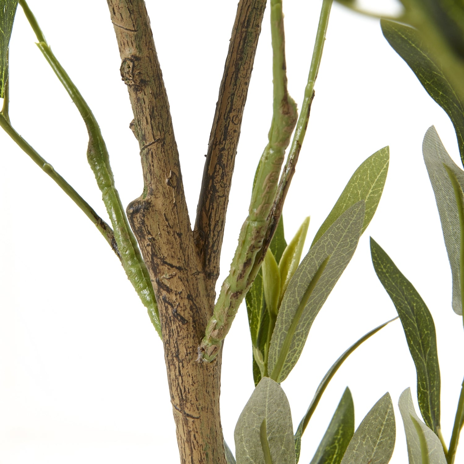 Apulia Olive Tree In White Pot 150Cm - Potted Plants from the Quanta Home collection.