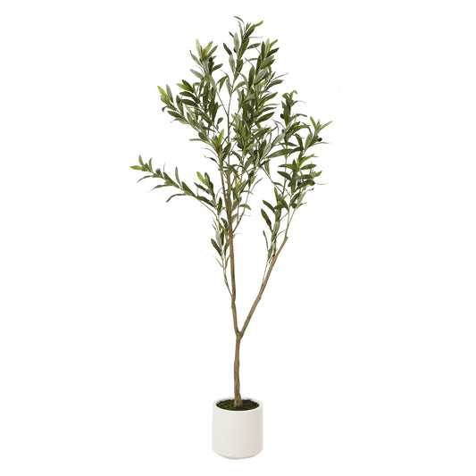 Apulia Olive Tree In White Pot 150Cm - Potted Plants from the Quanta Home collection.