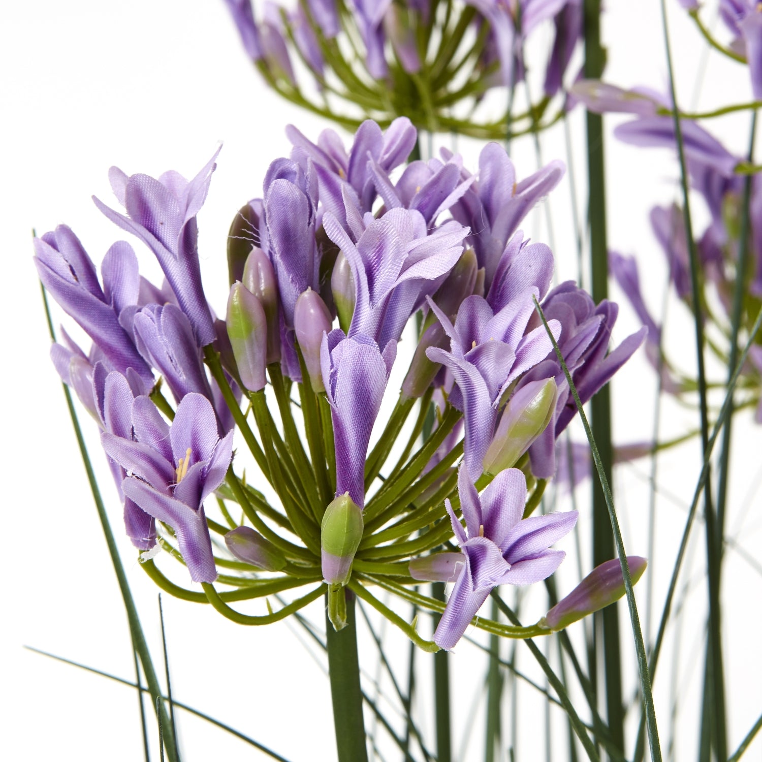 Large Purple Agapanthus Plant In Pot - All Artificial Potted Plants from the Quanta Home collection.